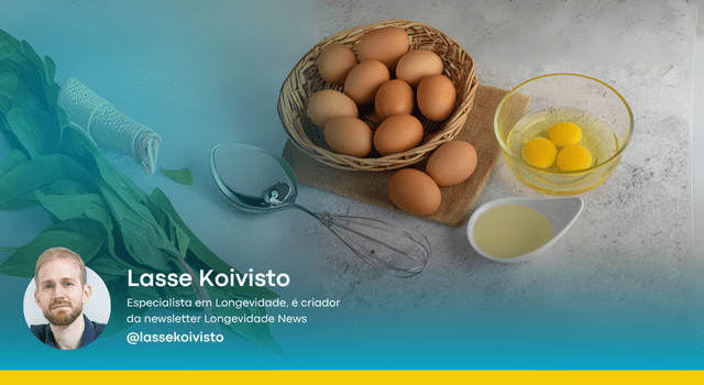 A força do alimento integral